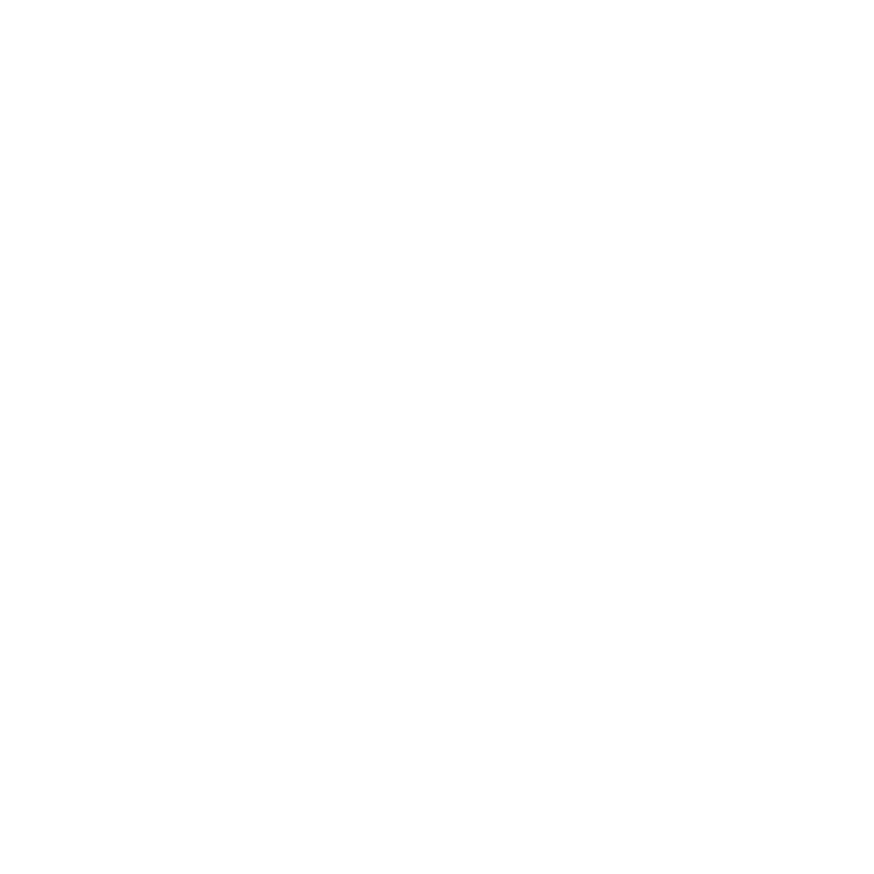 light logo